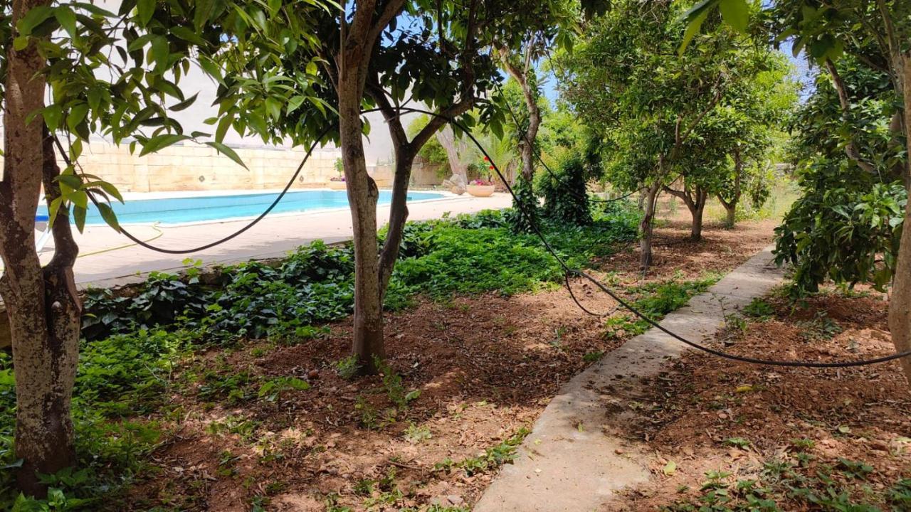 Stunning Villa With Pool, Table Tennis, Table Soccer And A Pool Table 纳克萨 外观 照片