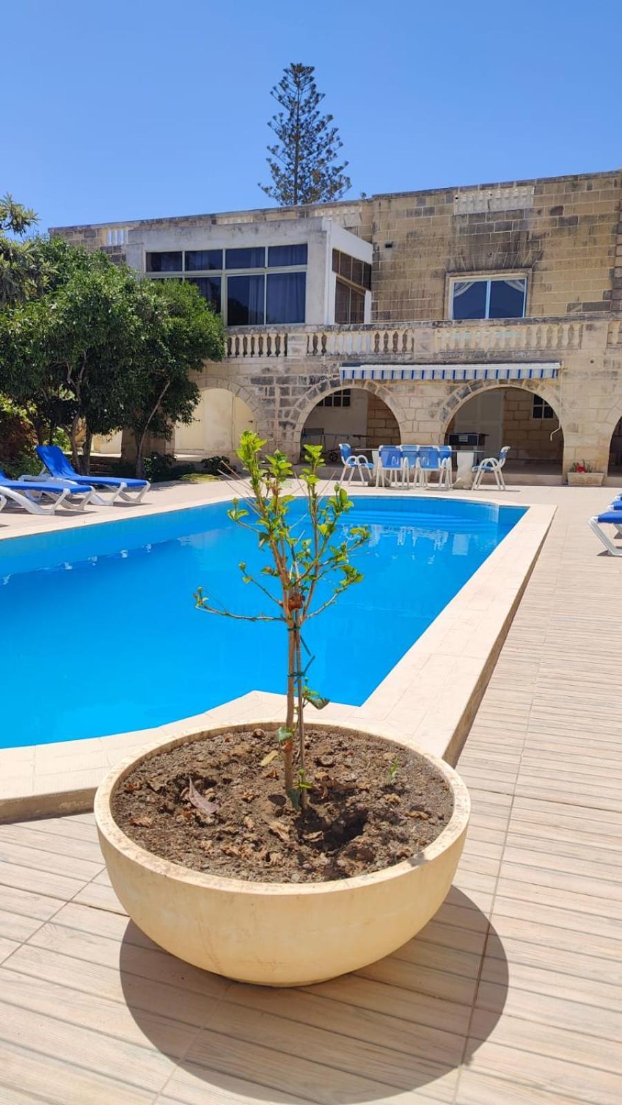 Stunning Villa With Pool, Table Tennis, Table Soccer And A Pool Table 纳克萨 外观 照片